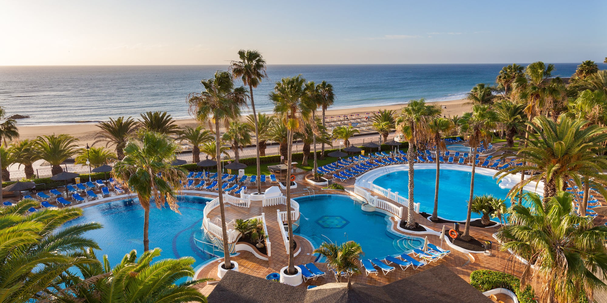 a swimming pool with palm trees and a beach