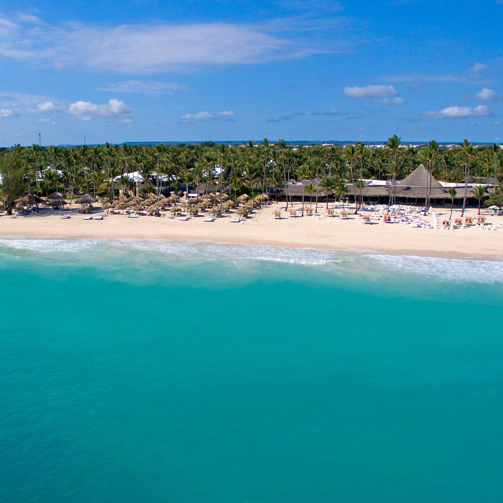 a beach with palm trees and a hut