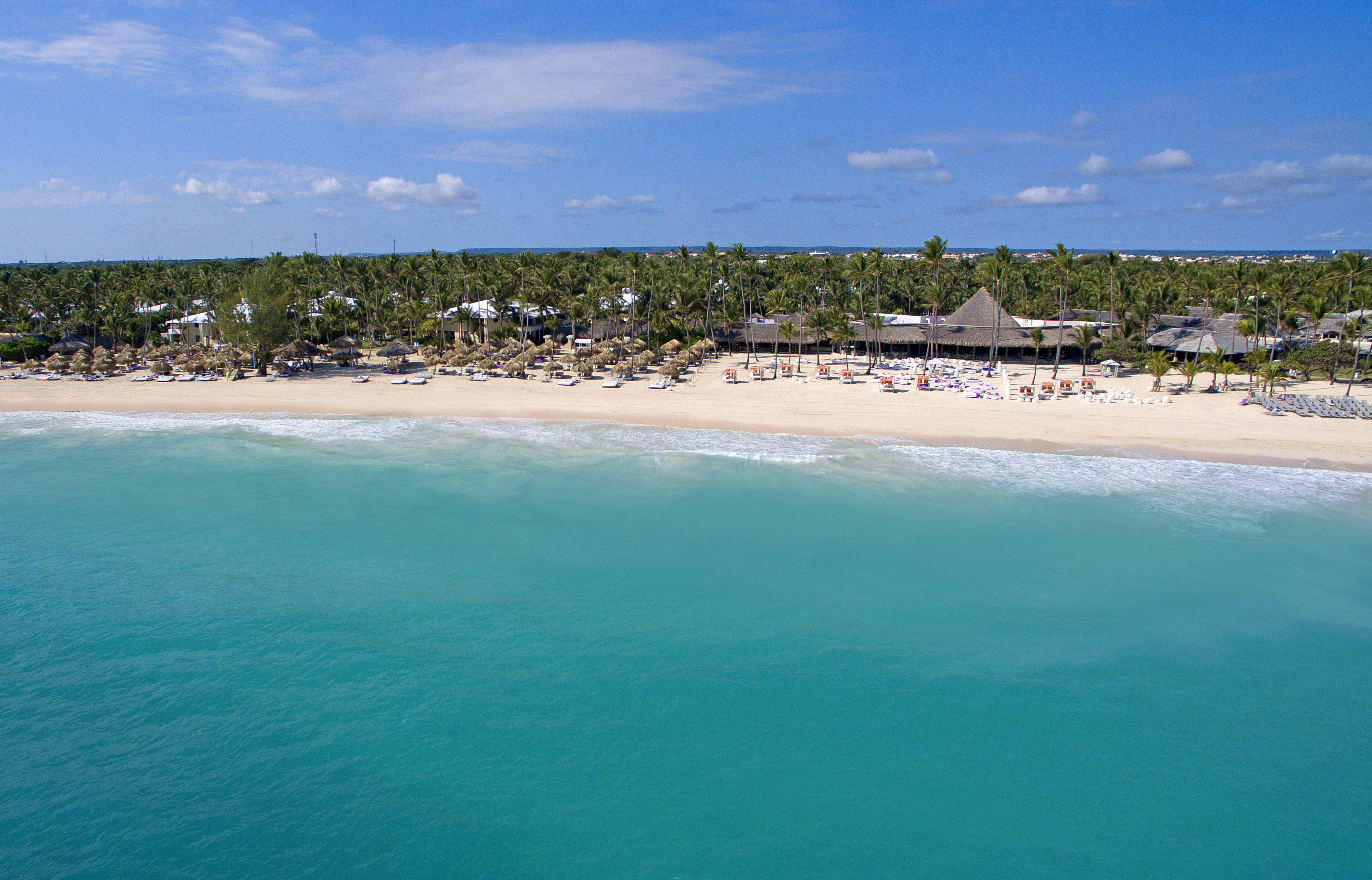 Tropical beach resort: white sand, turquoise ocean, palm trees, beach chairs.