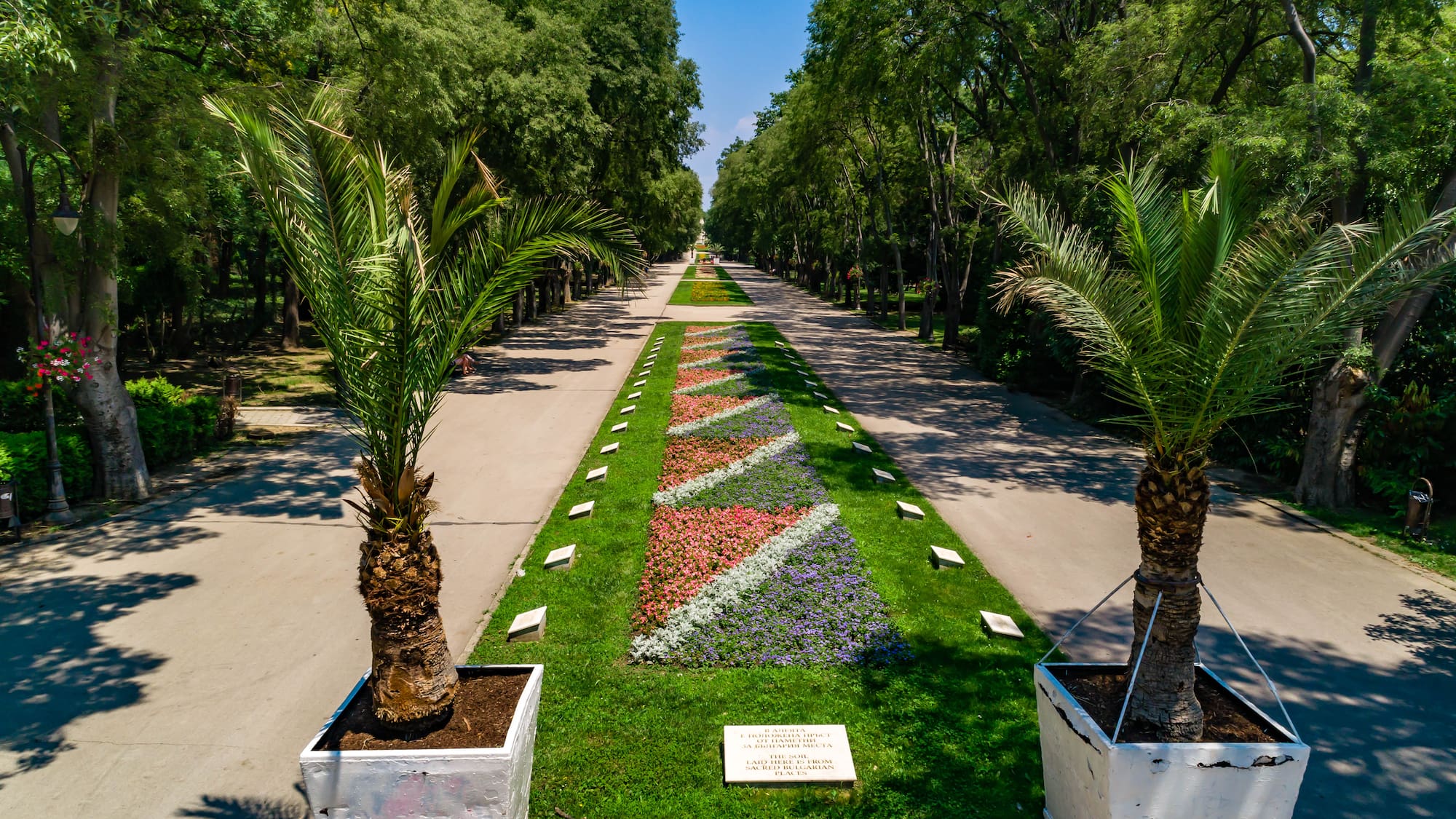 a long walkway with palm trees and flowers