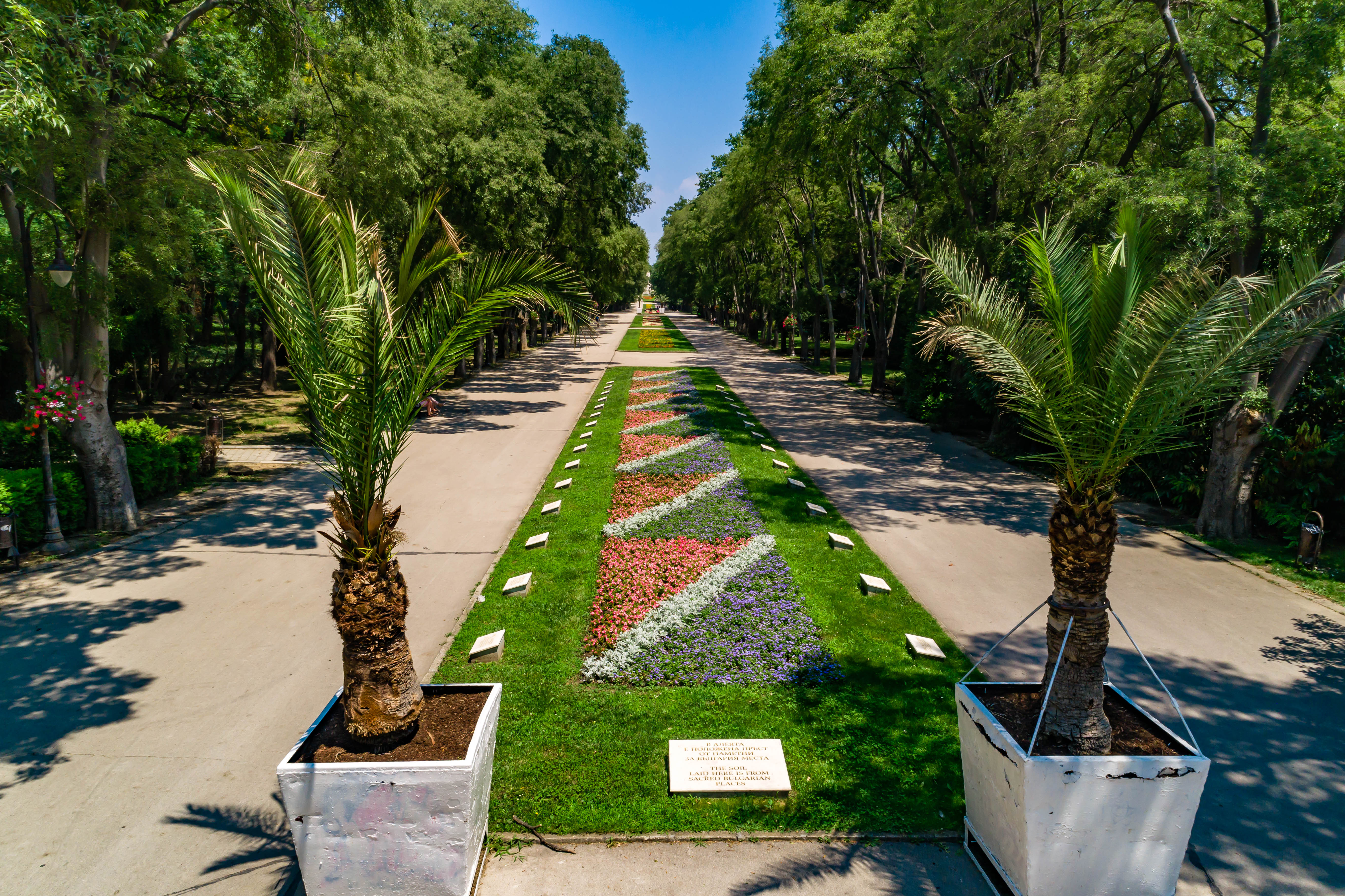 a long walkway with palm trees and flowers