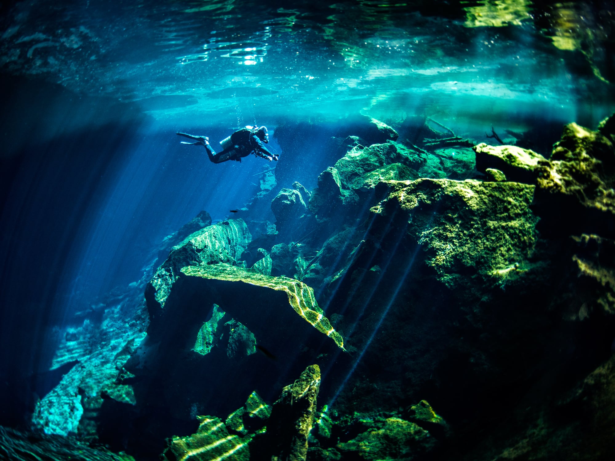 a person swimming under water