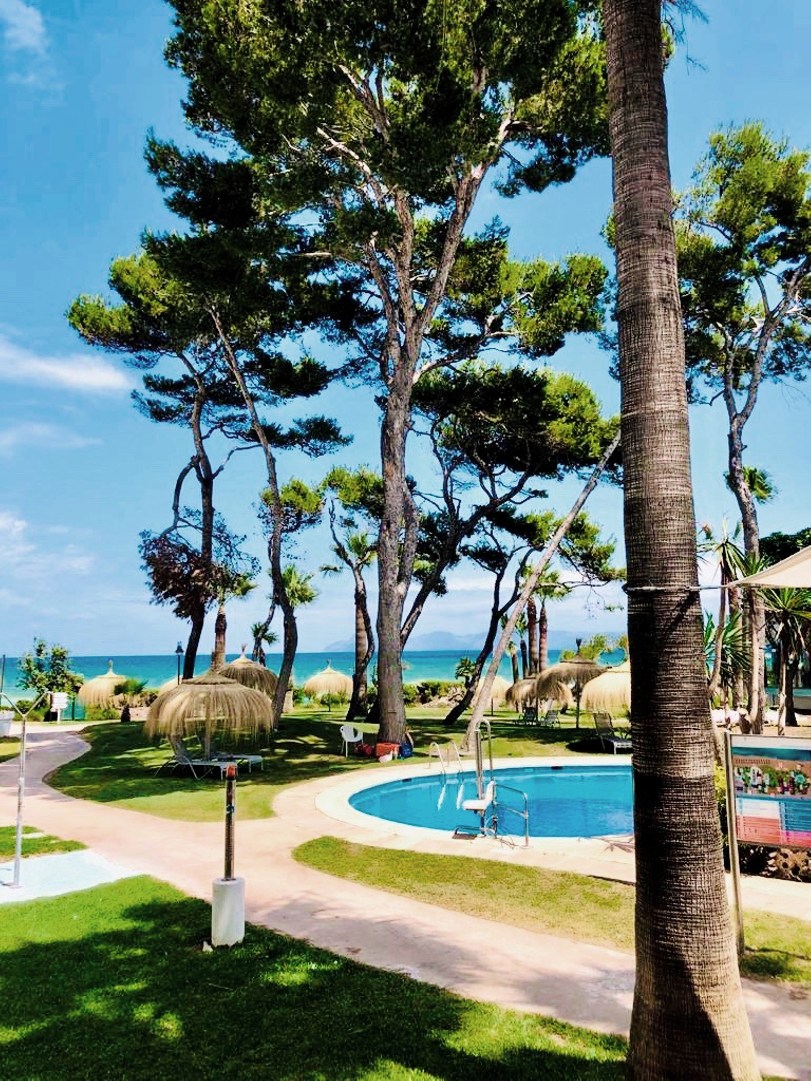a pool with trees and a beach in the background