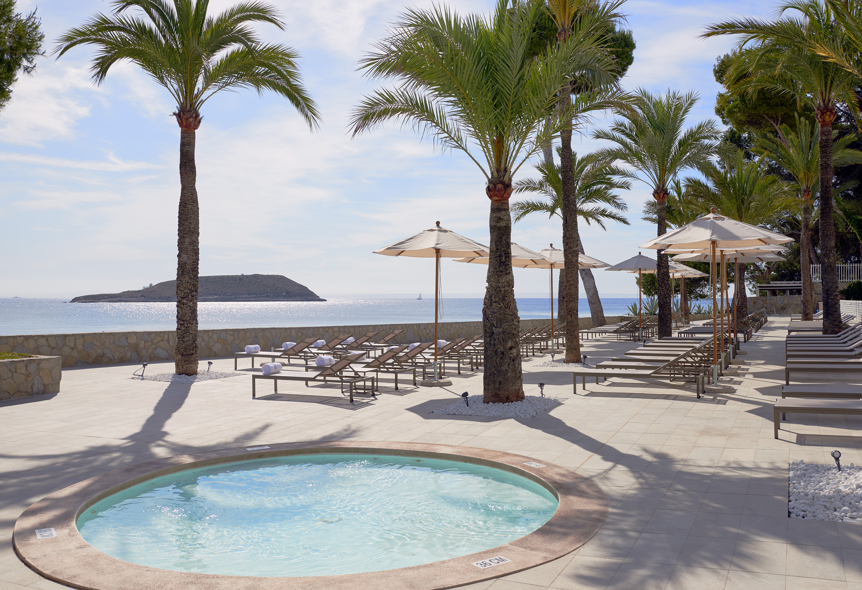 Tropical resort pool deck, palm trees, sun loungers, ocean with island.