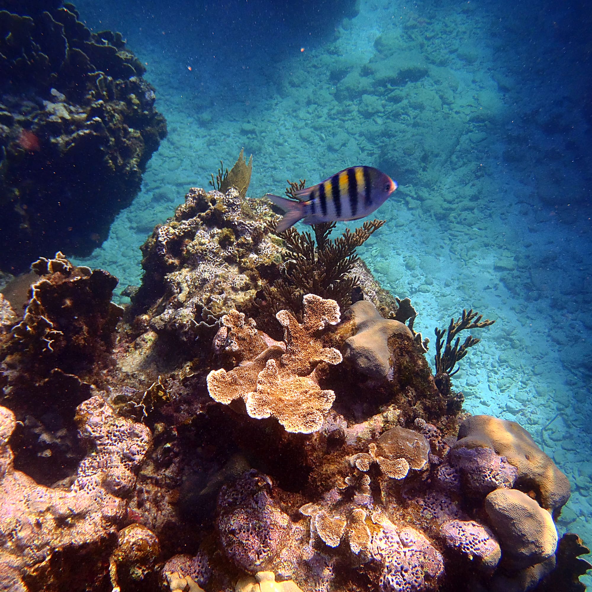 a white background with black and white clouds