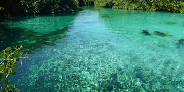 a clear blue water with trees around it