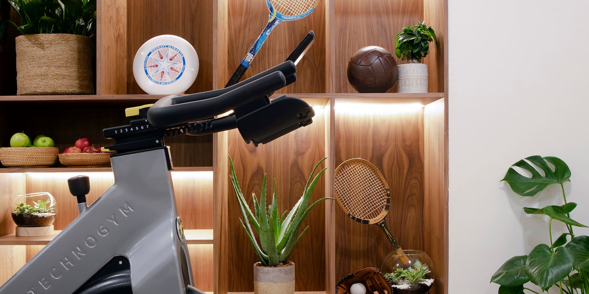 a exercise bike in a room with shelves and plants