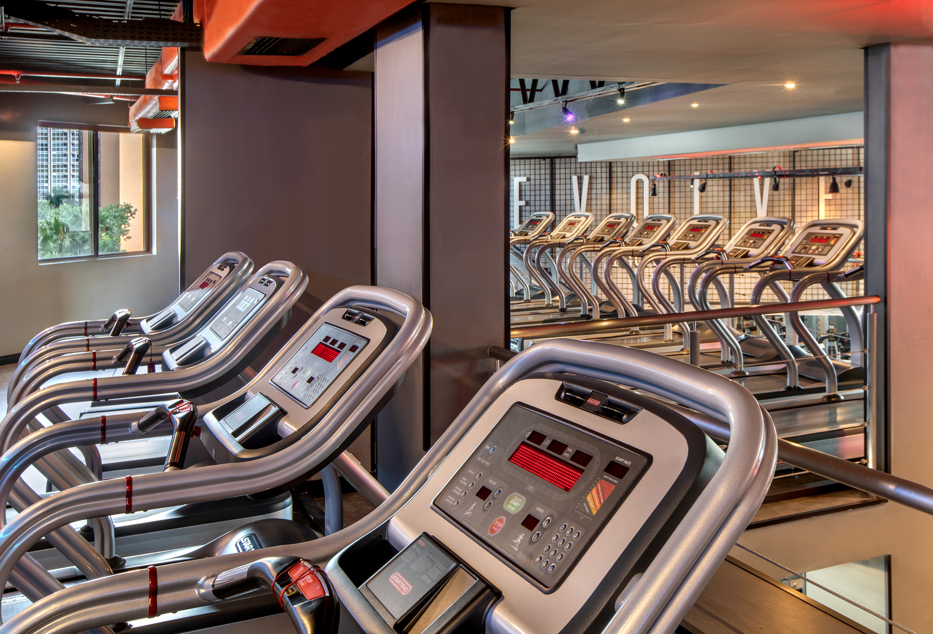 a group of treadmills in a gym