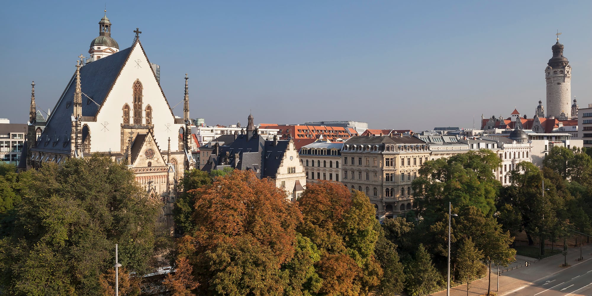 a city with trees and buildings