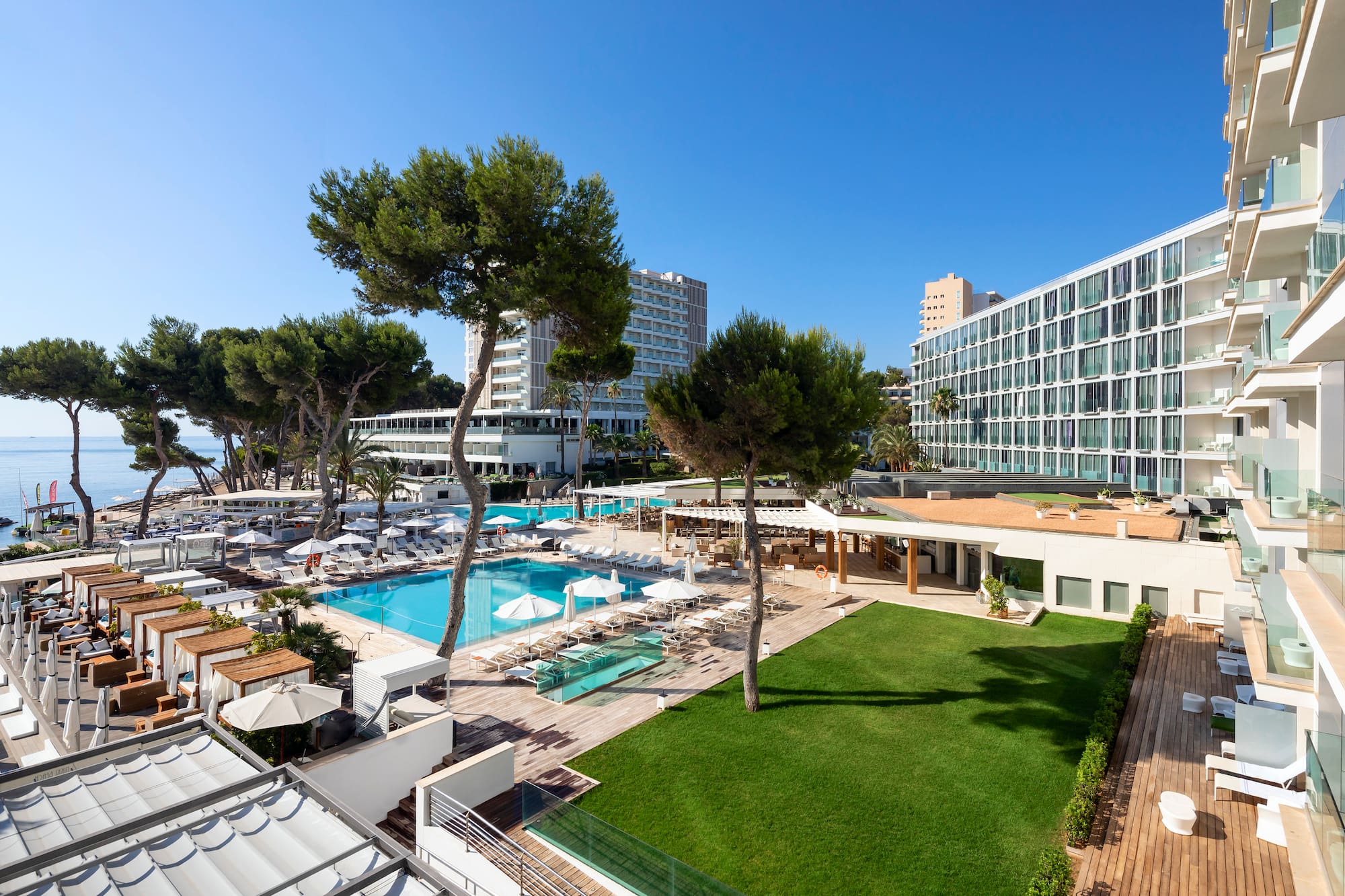Luxury beachfront resort with pools, hotel, pine trees, and ocean view.