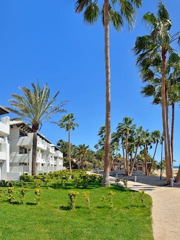 a walkway leading to a building with palm trees