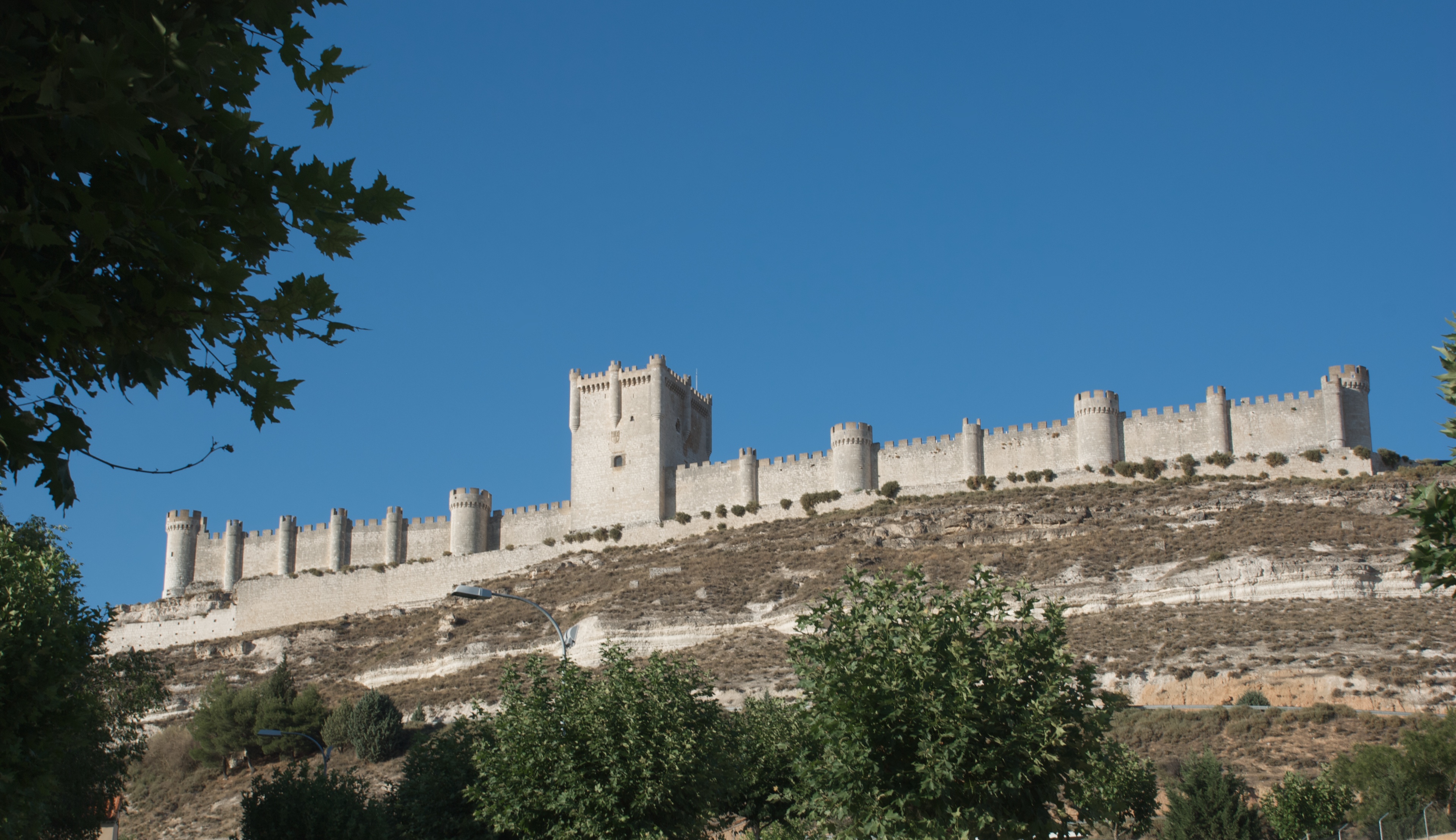 a castle on a hill