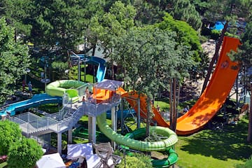 a water park with slides and trees