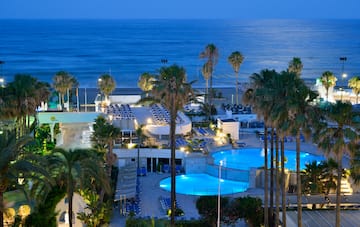 a pool and palm trees by the ocean