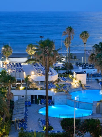a pool and palm trees by the ocean