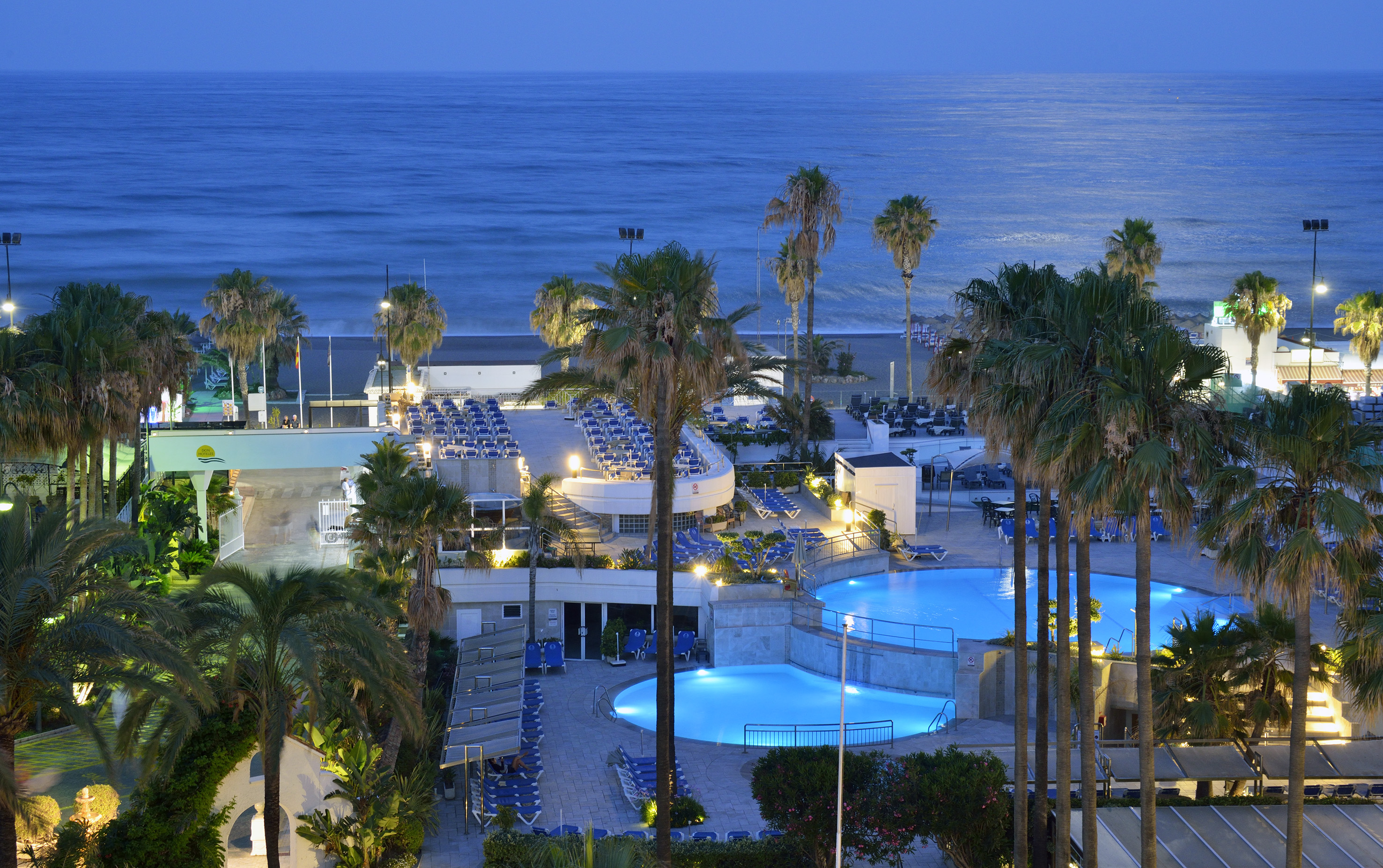 a pool and palm trees by the ocean