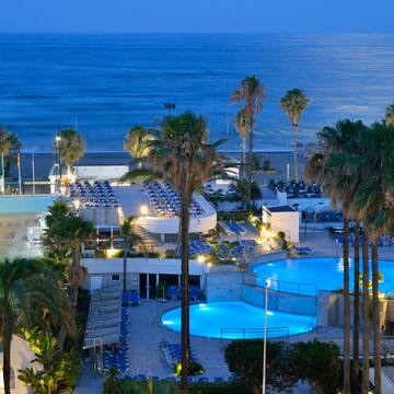 a pool and palm trees by the ocean