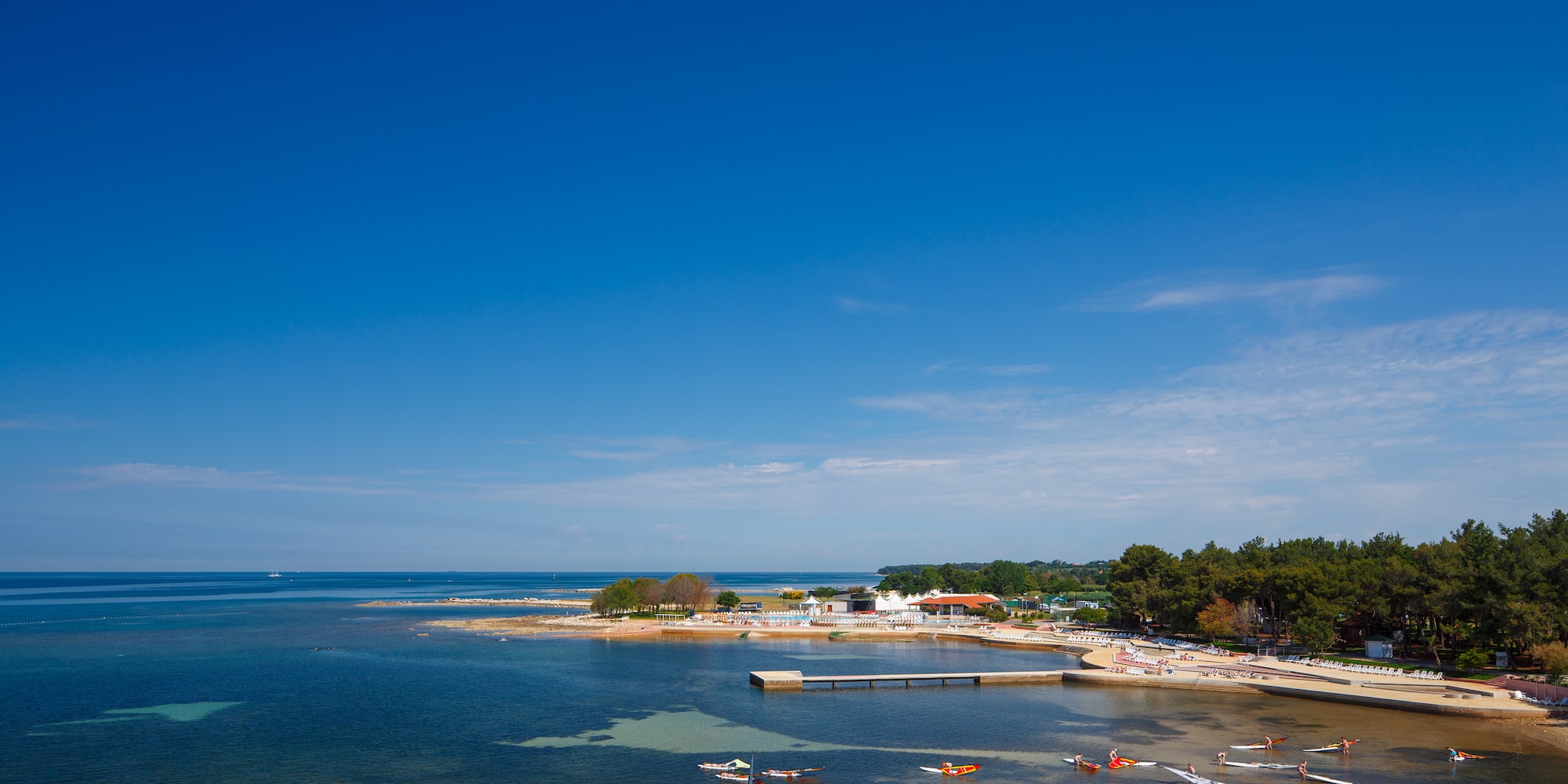 a beach with boats and trees