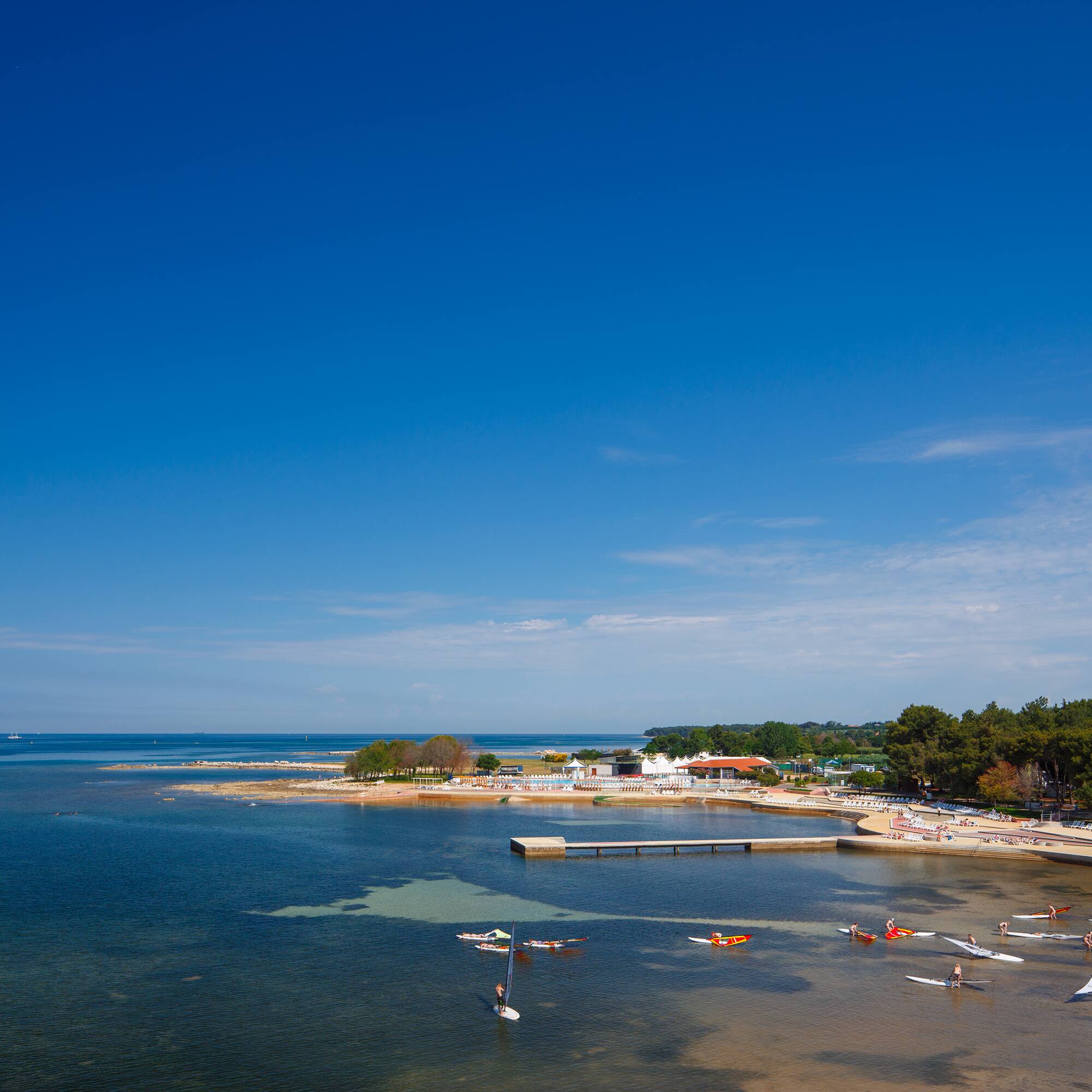a beach with boats and trees