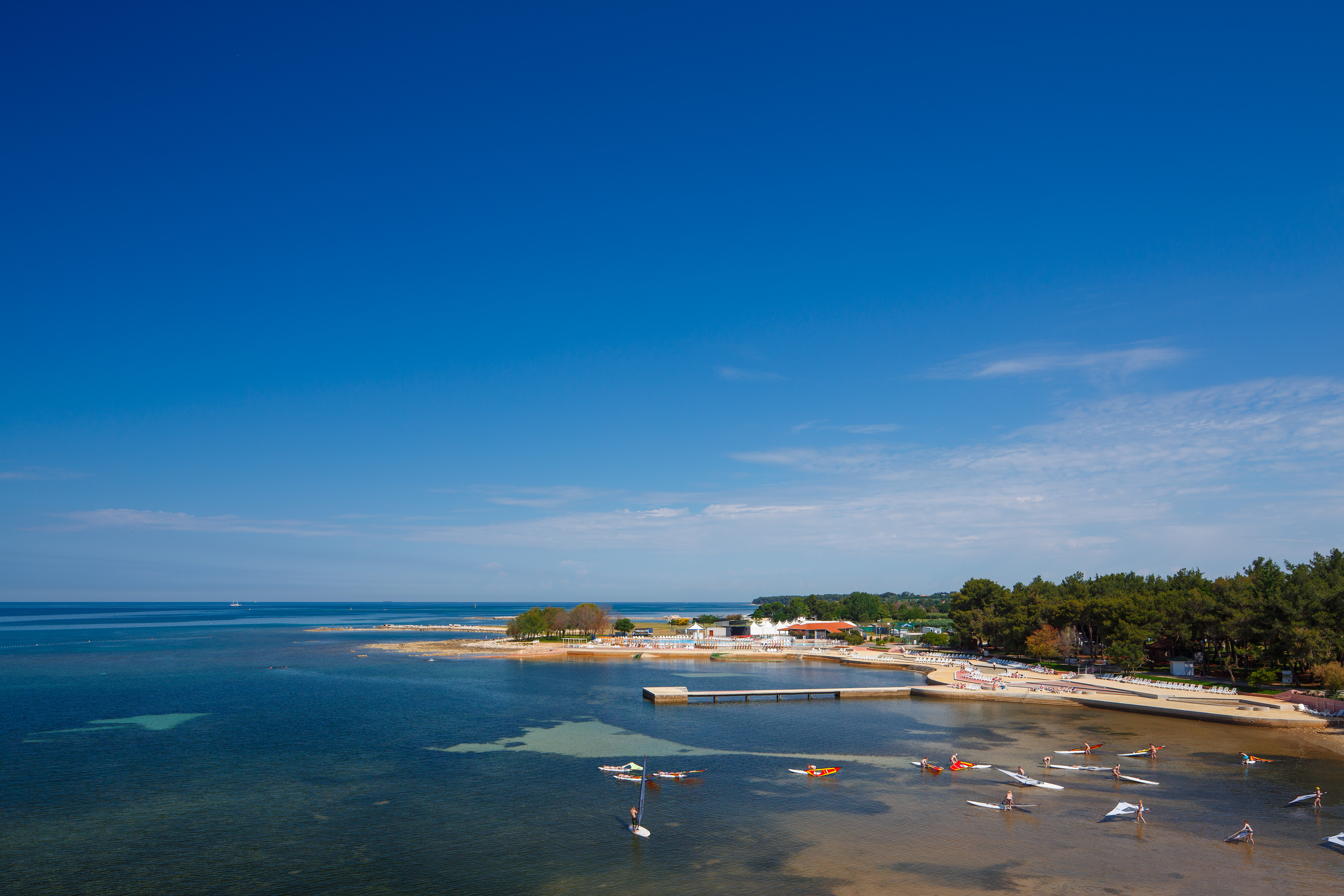 a beach with boats and trees