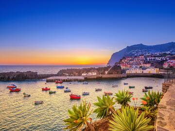 boats in a harbor with boats in it