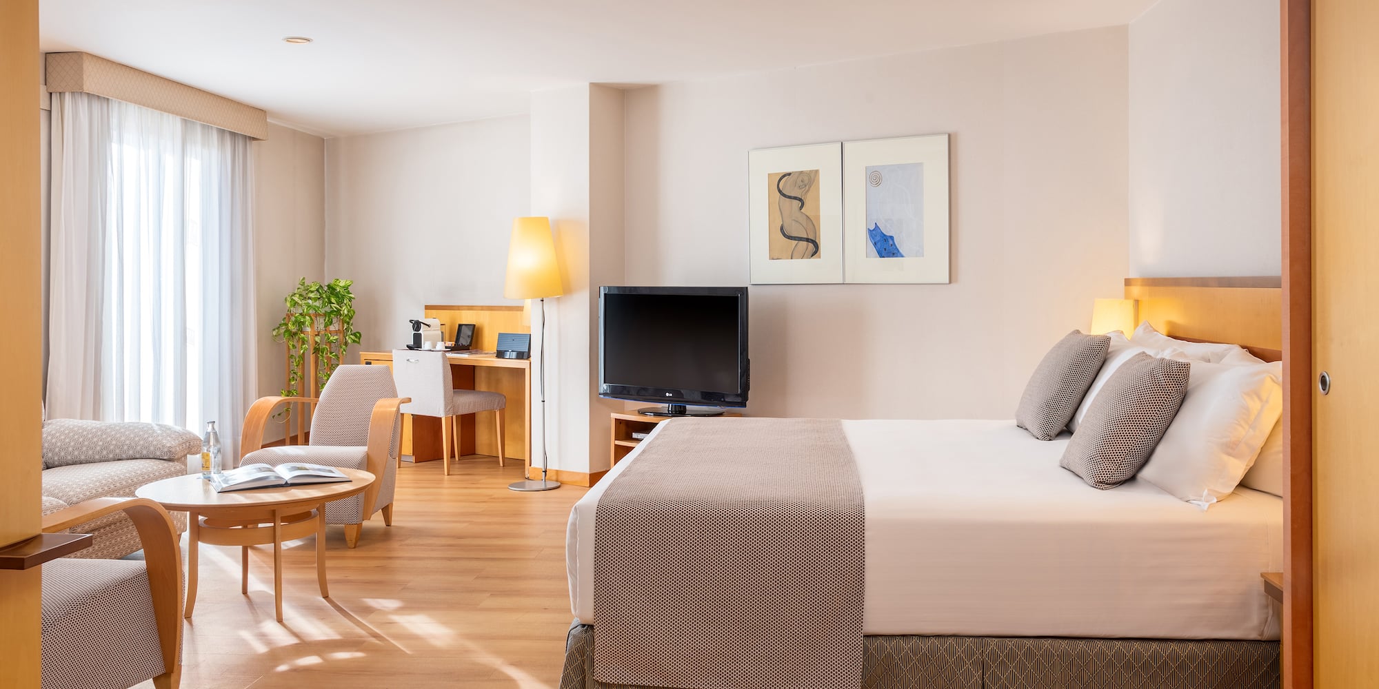 a bedroom with a bed and a television