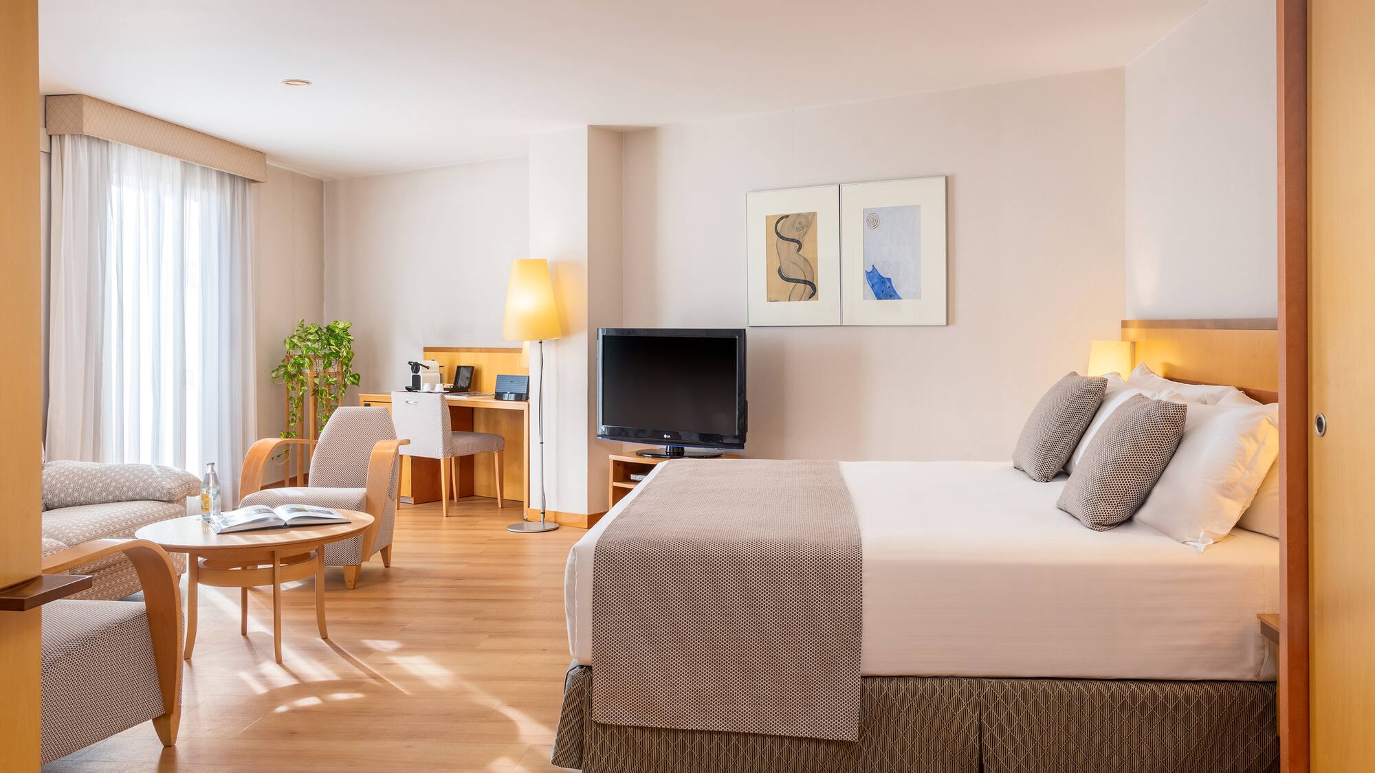 a bedroom with a bed and a television