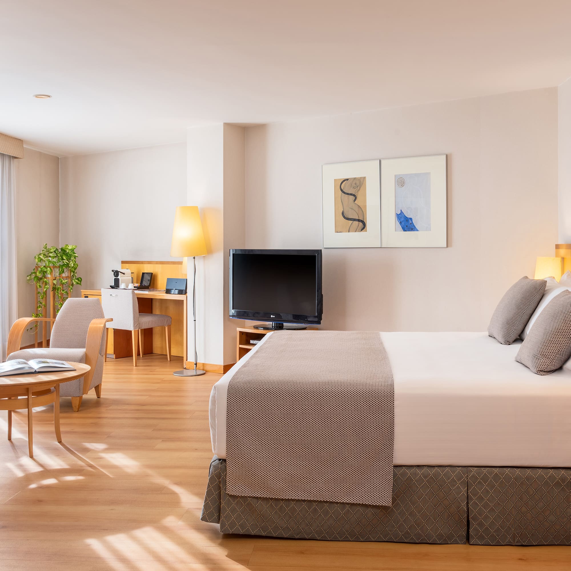 a bedroom with a bed and a television