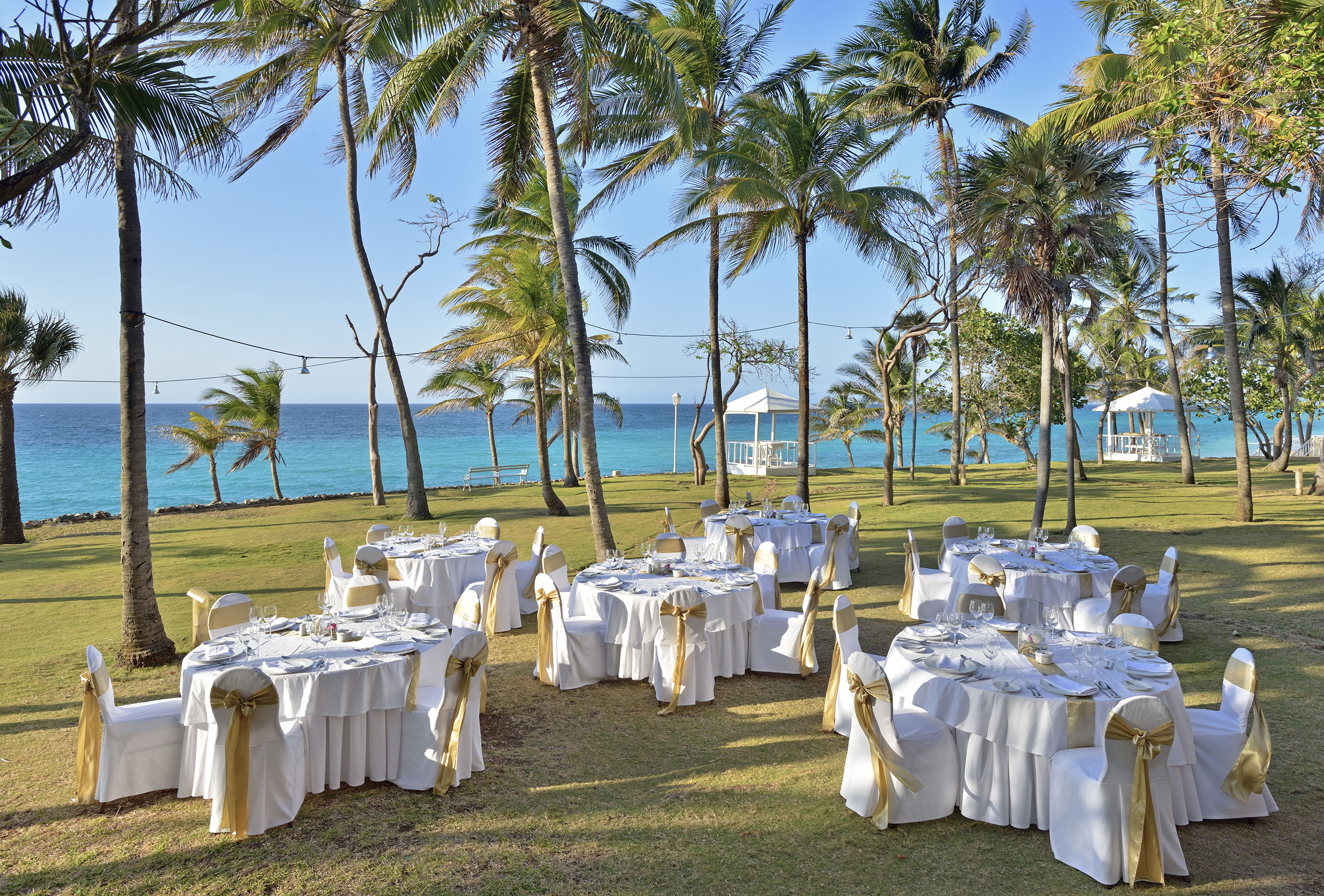 a group of tables set up in a grassy area with palm trees and a body of water