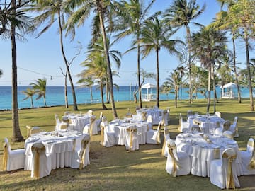 a group of tables set up in a grassy area with palm trees and a body of water