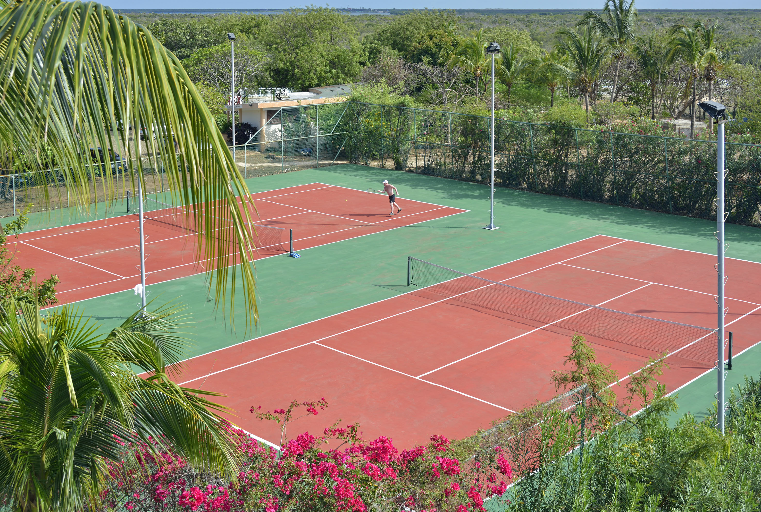 a tennis court with a person on the court