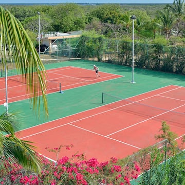 a tennis court with a person on the court