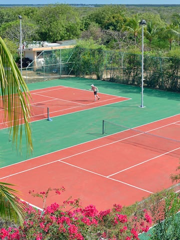 a tennis court with a person on the court