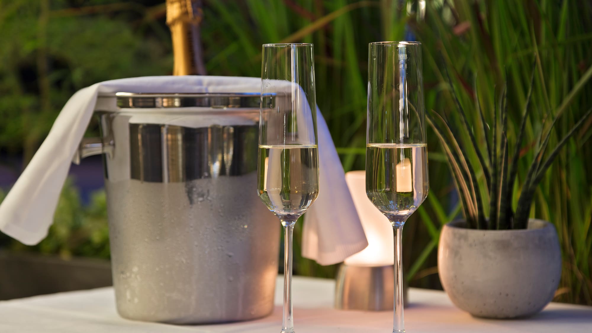 two glasses of champagne on a table