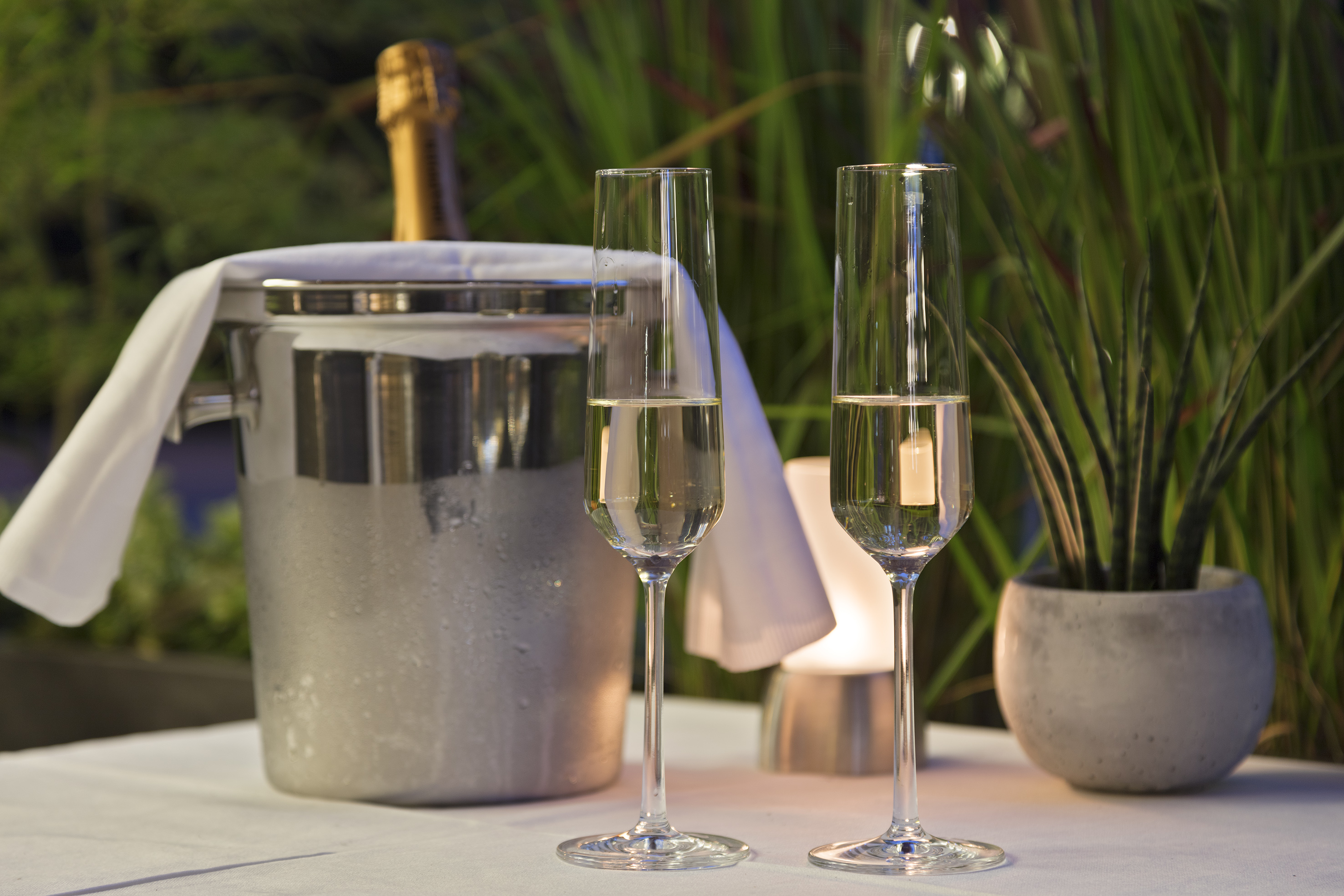 two glasses of champagne on a table