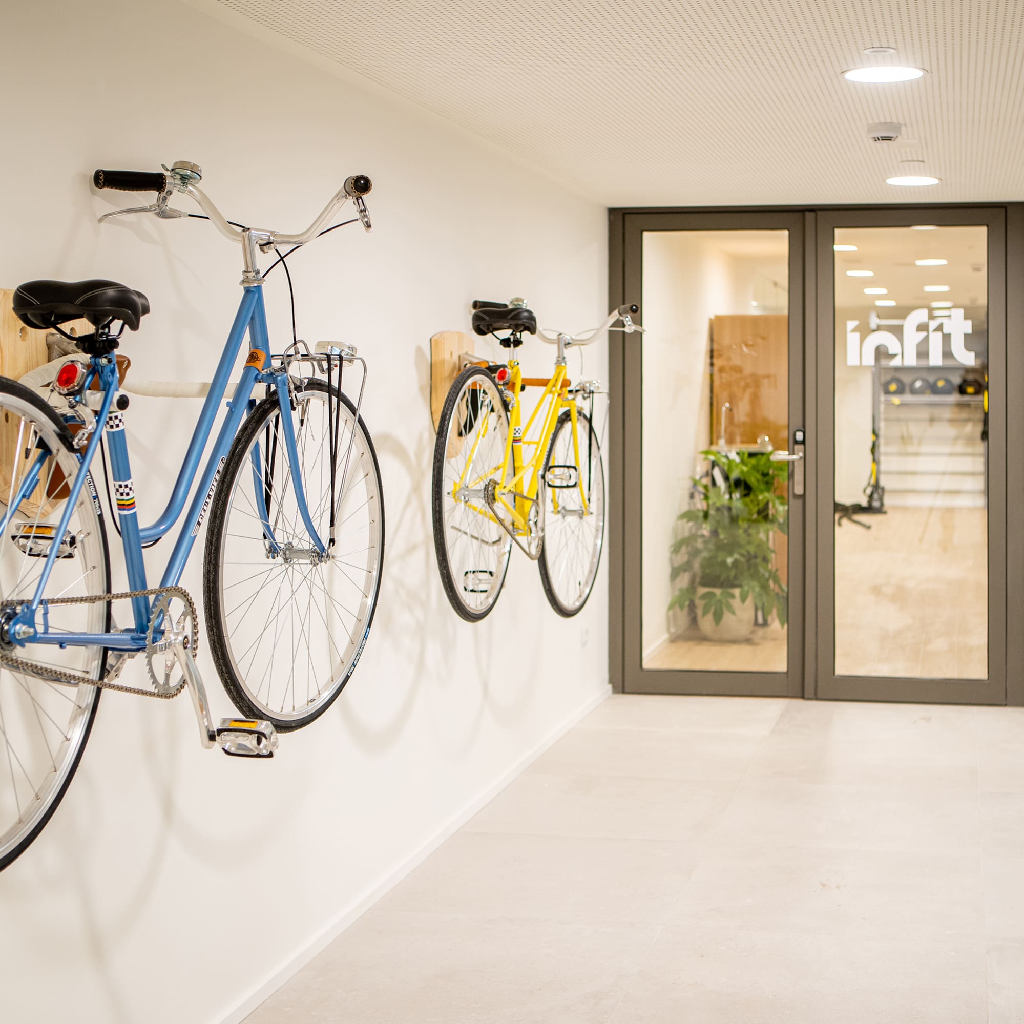 bicycles on a wall