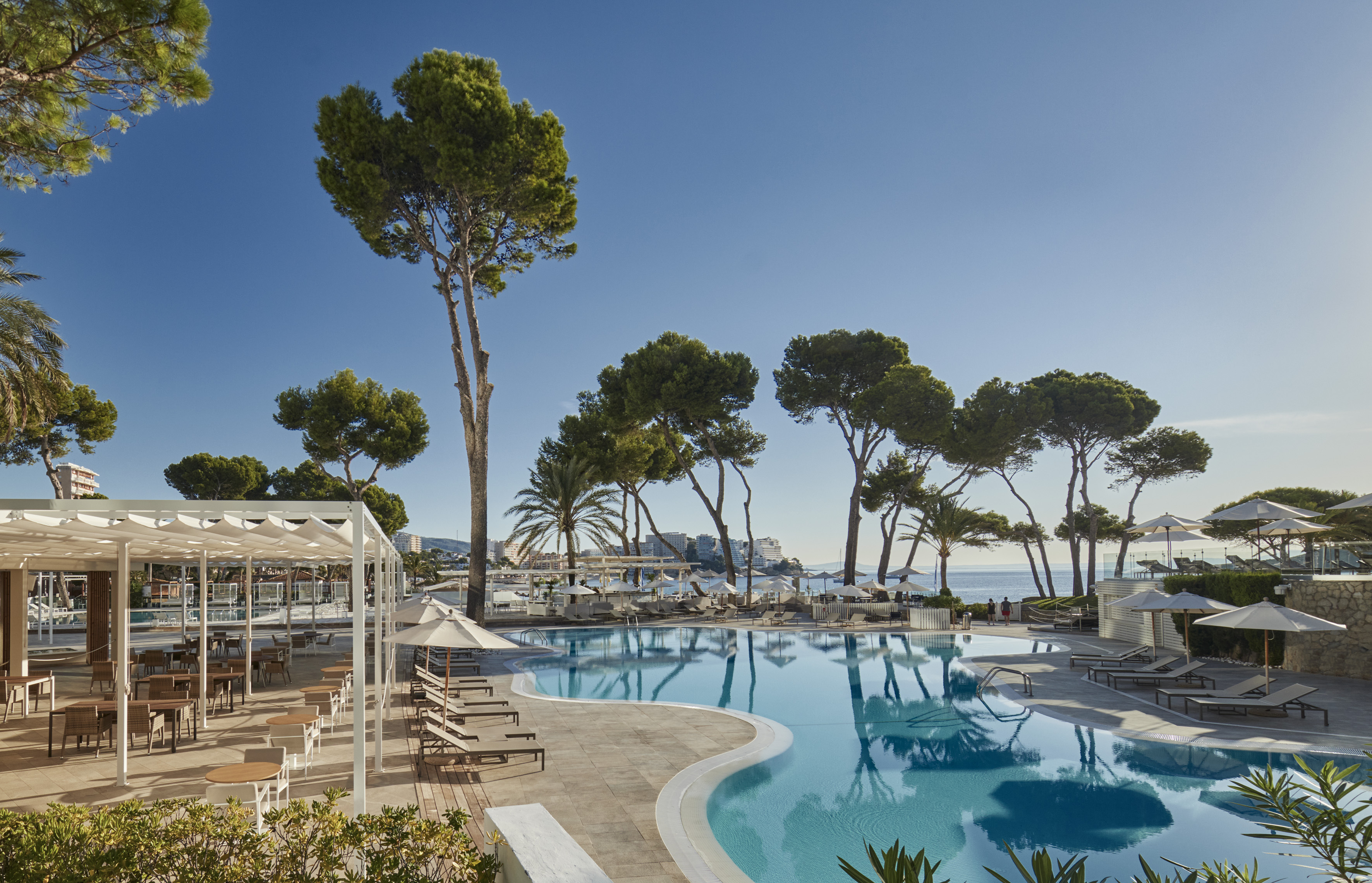 Resort swimming pool with pine trees, sun loungers, outdoor dining, ocean view.