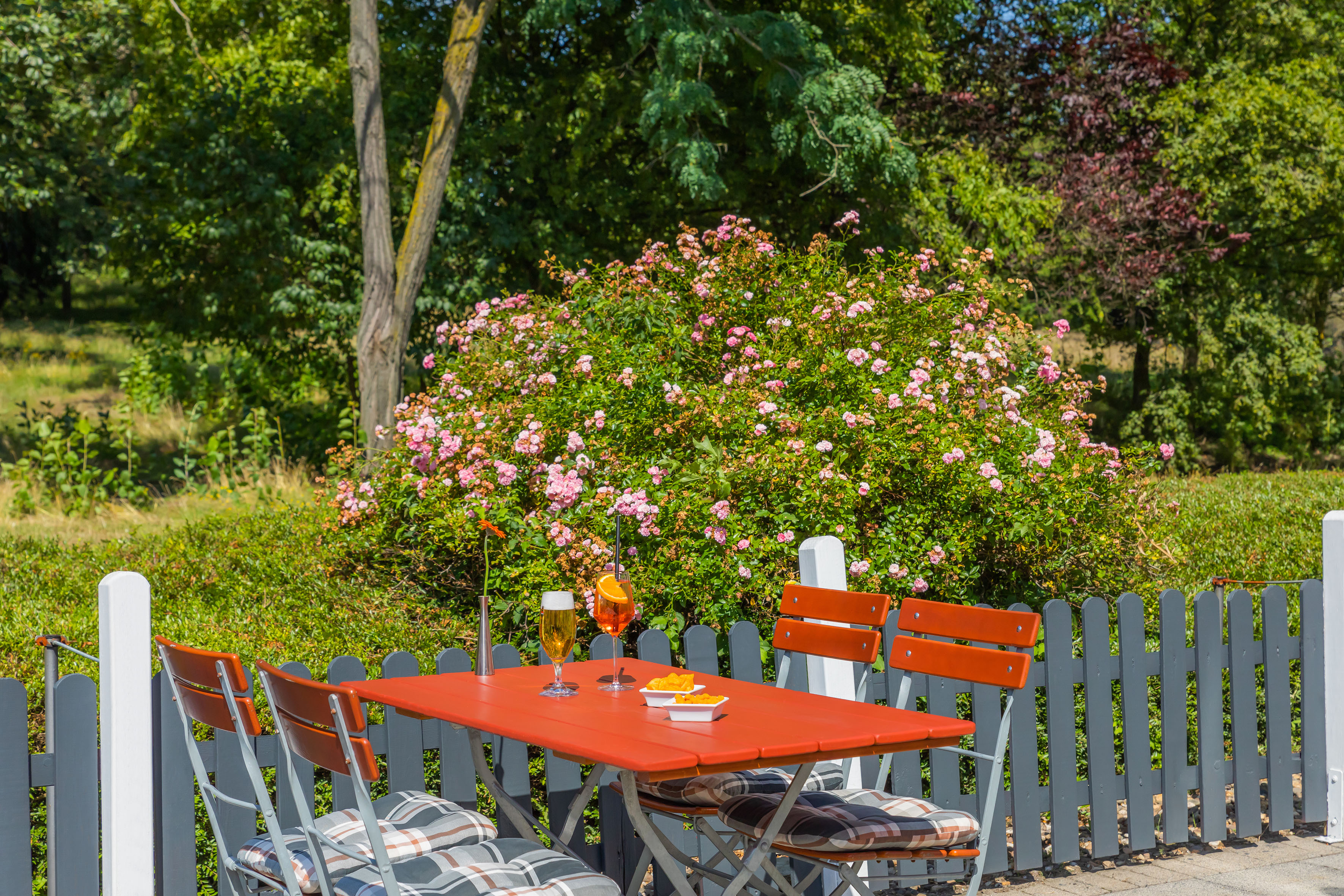 Sunny outdoor patio with orange table, drinks, snacks, and pink rose bush.