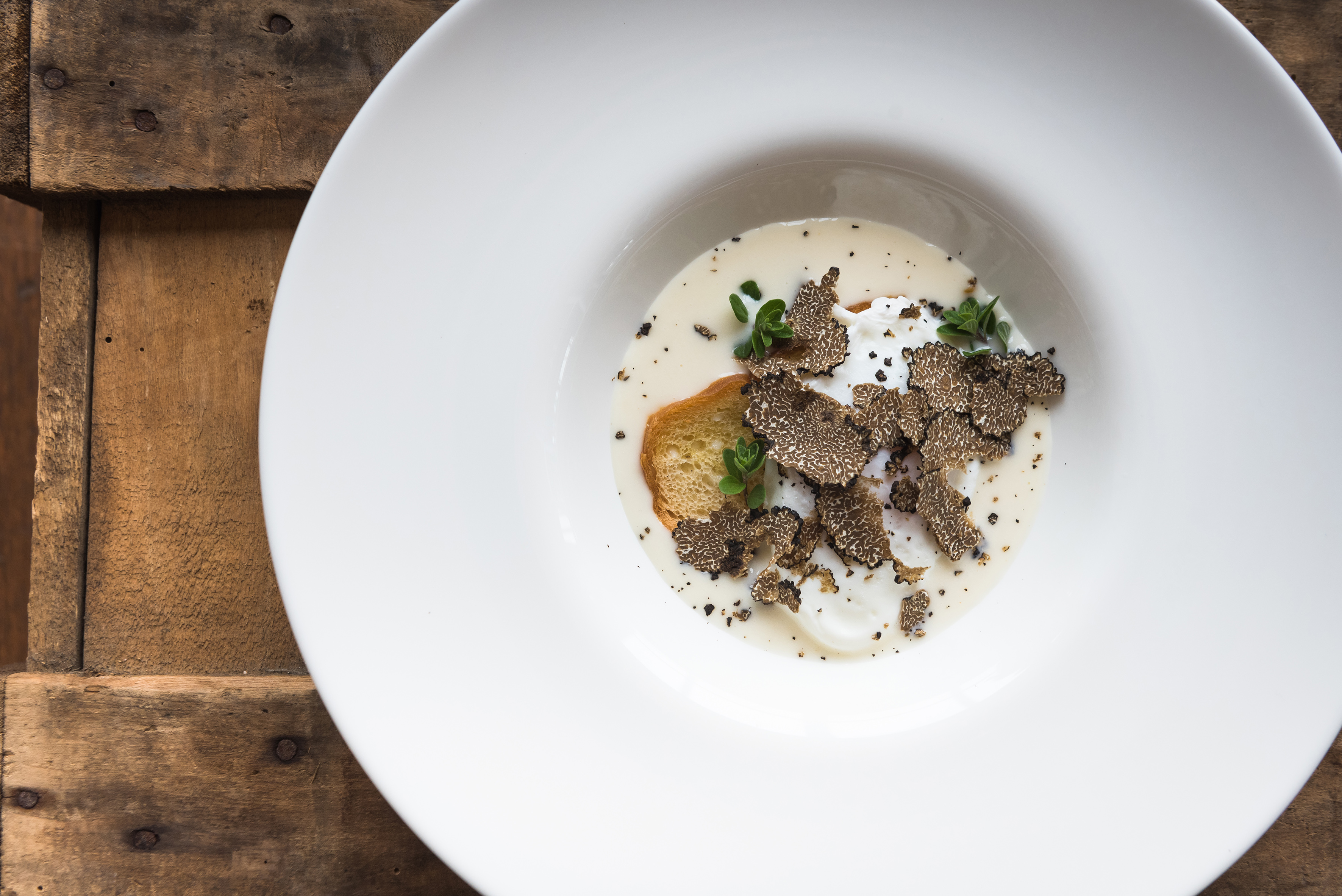 Poached egg with black truffle shavings, cream sauce, and toast.