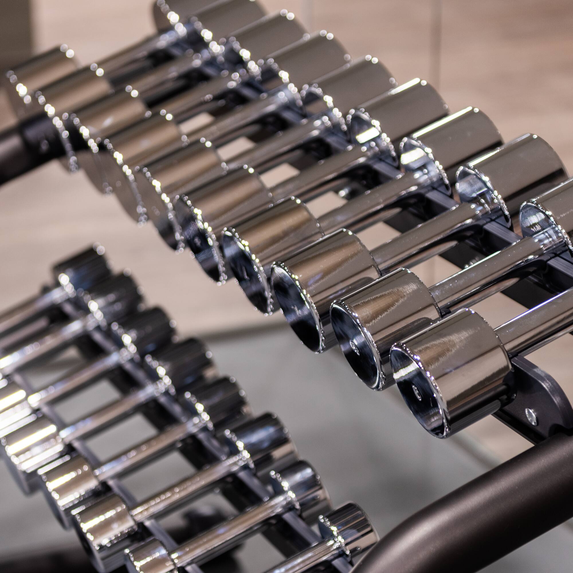 a rack of dumbbells
