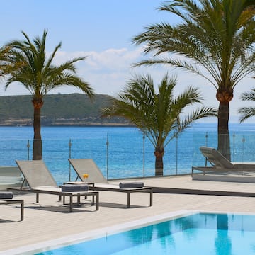 a pool with palm trees and chairs by the water