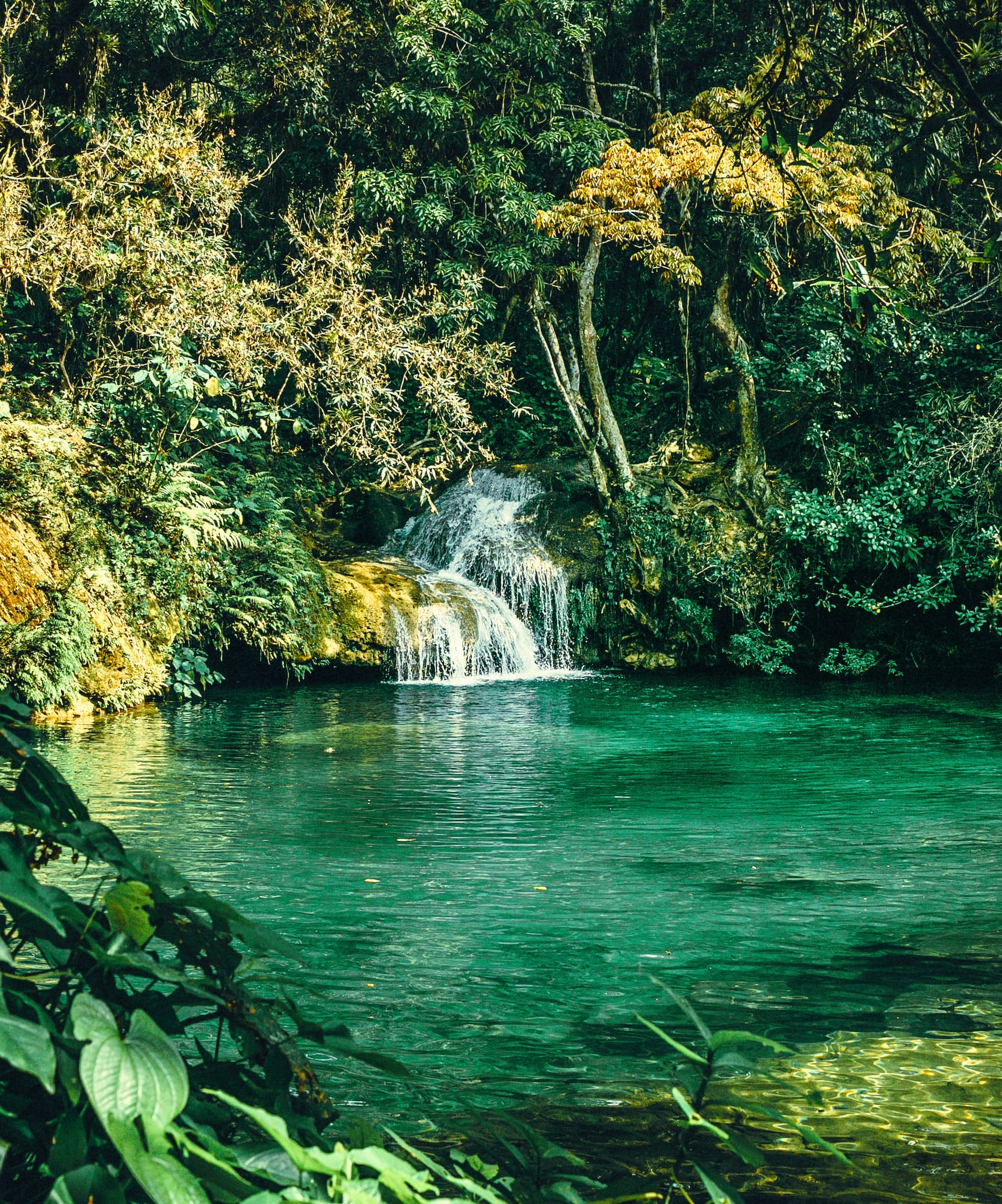 Tropical waterfall into clear emerald pool surrounded by lush jungle foliage.