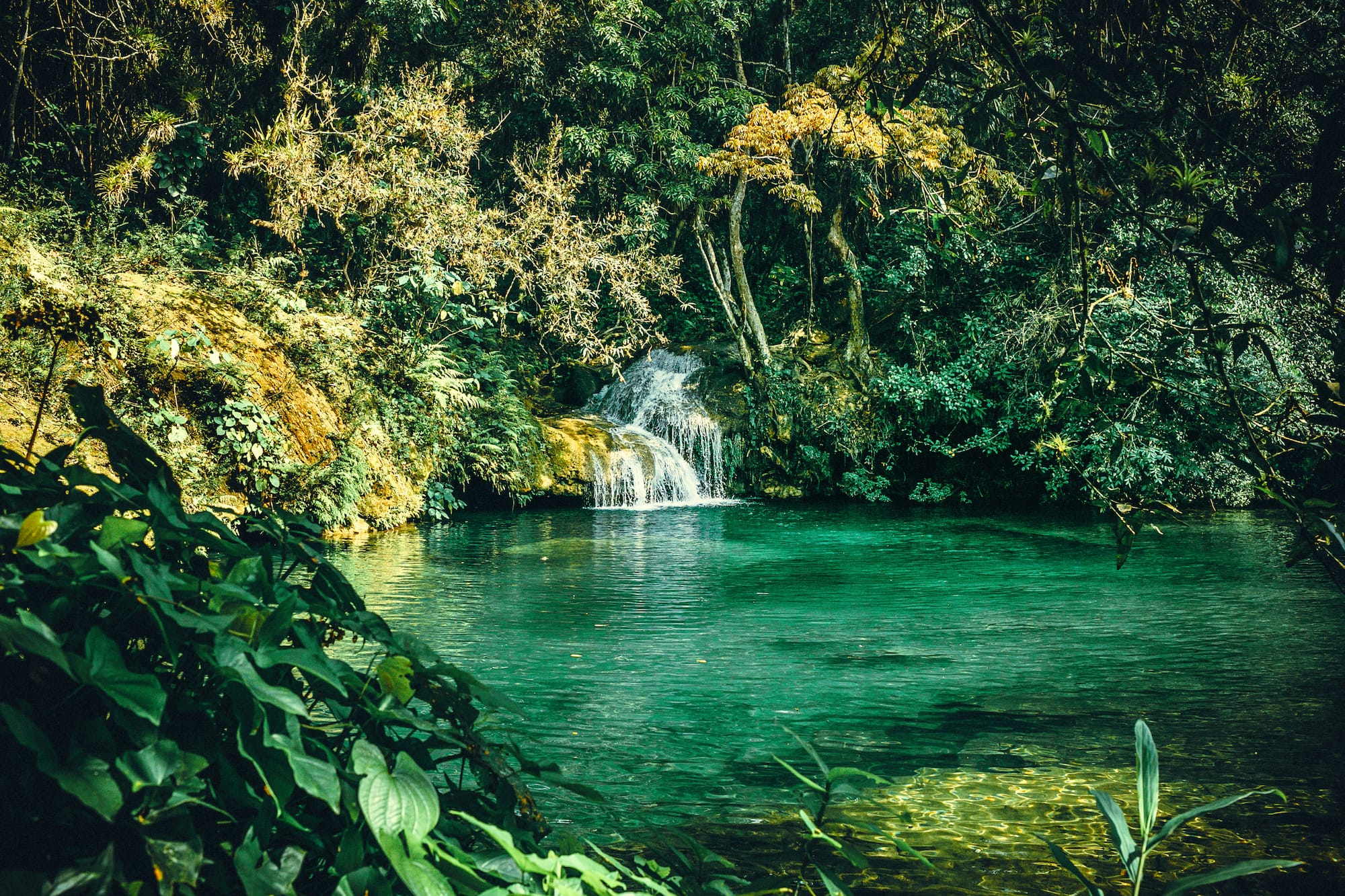 Tropical waterfall into clear emerald pool surrounded by lush jungle foliage.