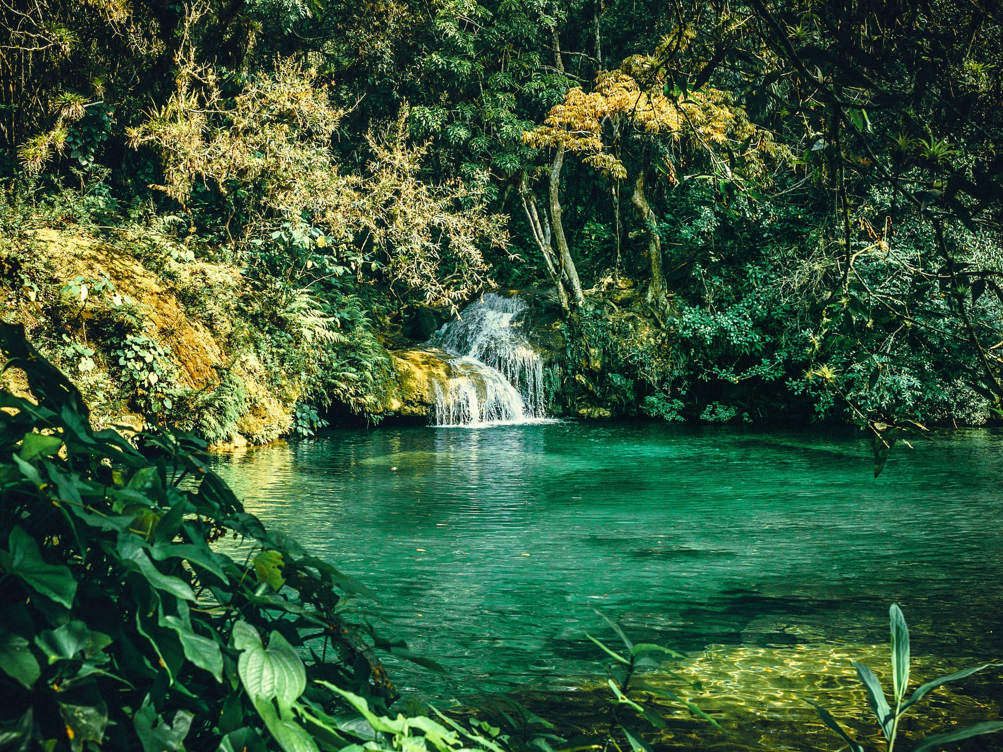 a waterfall in a pond surrounded by trees