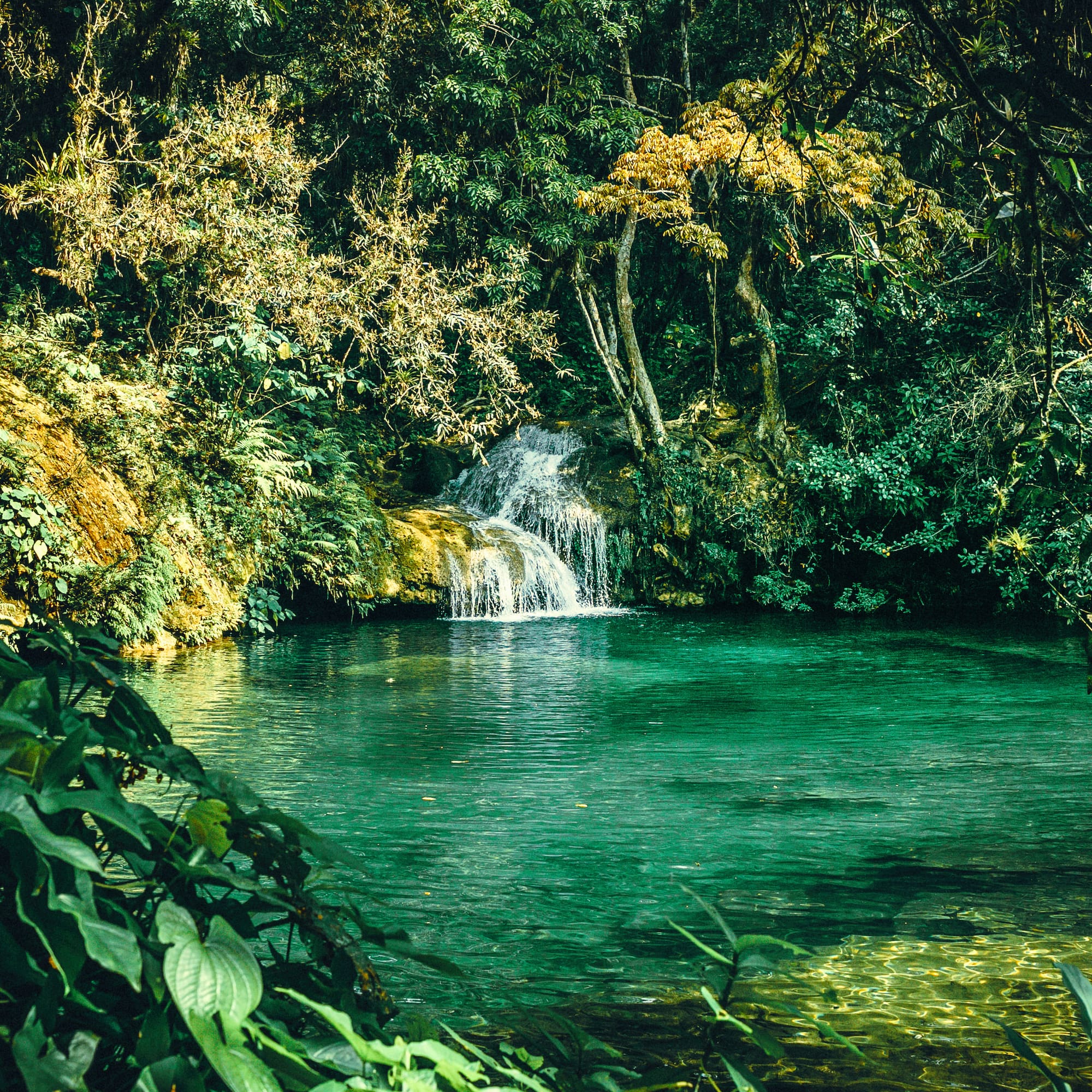 a waterfall in a pond surrounded by trees