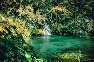 a waterfall in a pond surrounded by trees