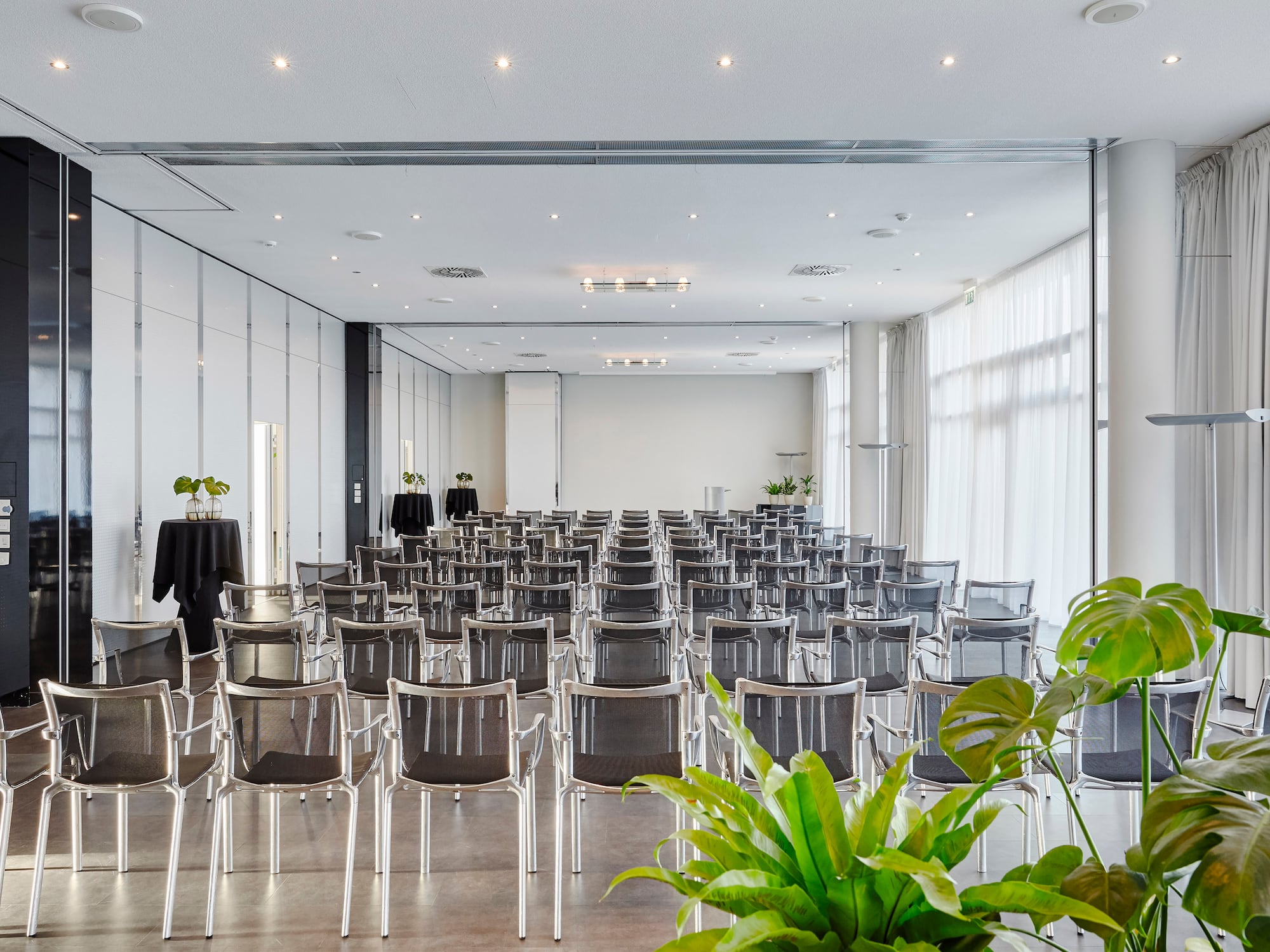 a room with many chairs and a plant