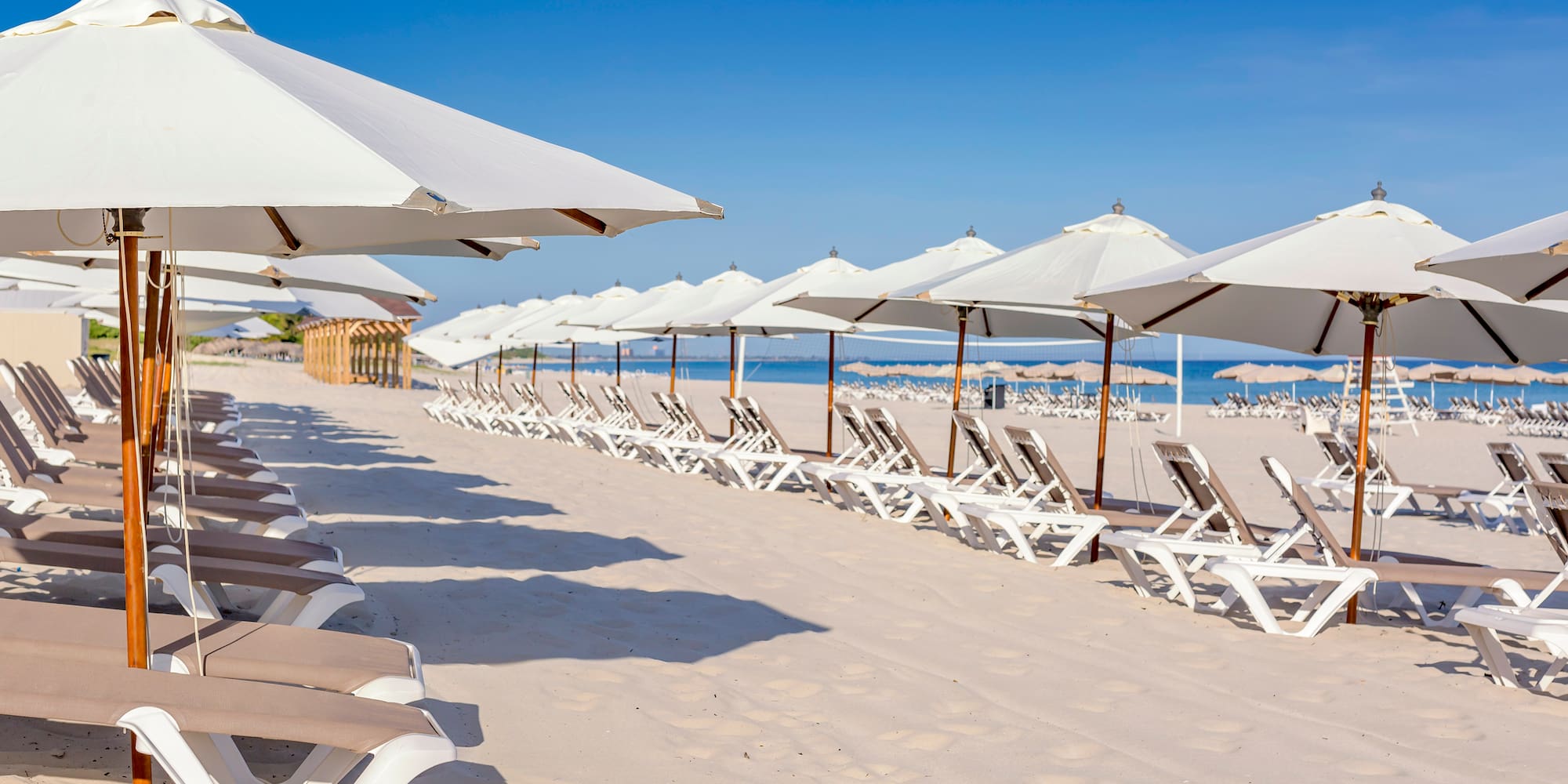 a beach with chairs and umbrellas