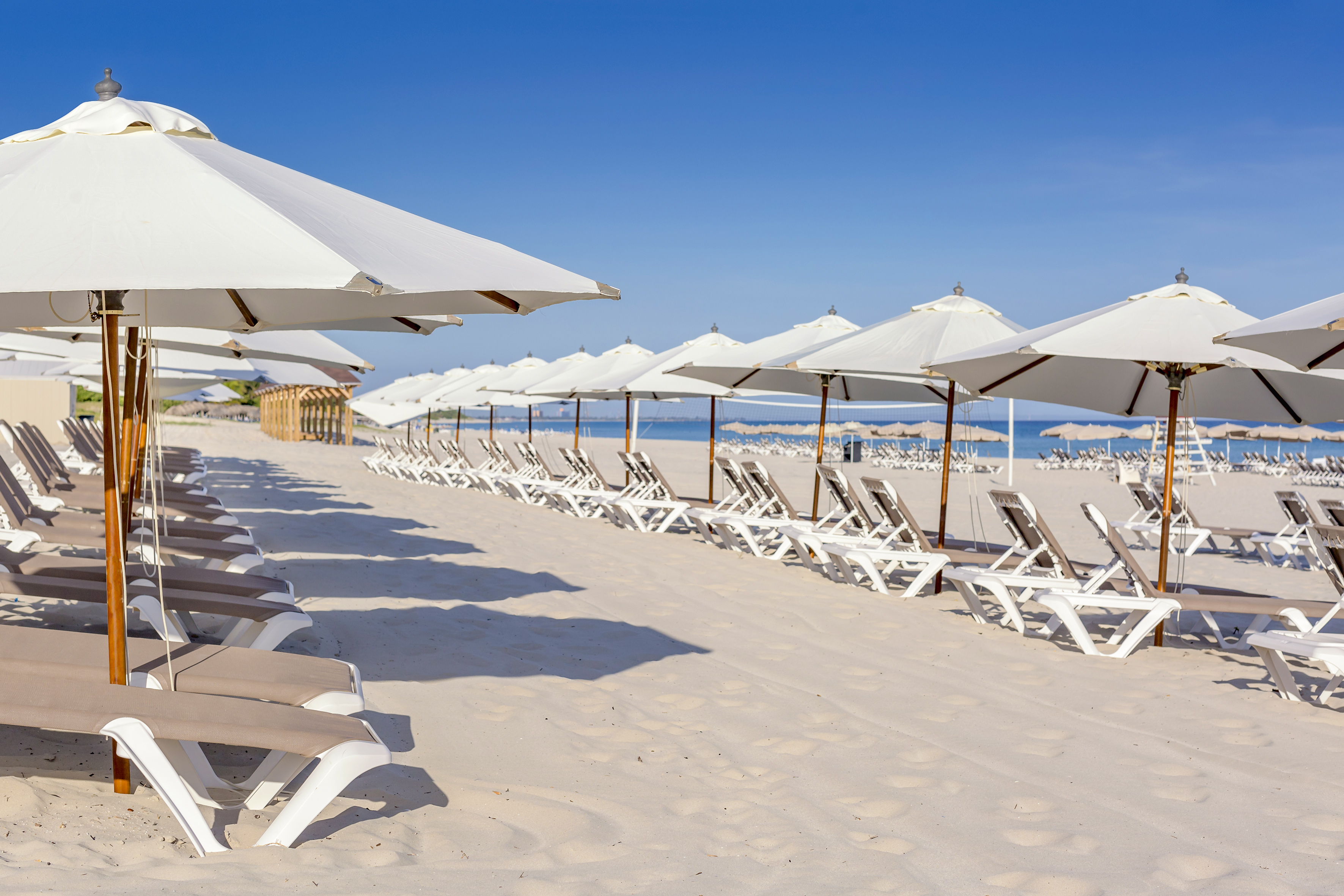a beach with chairs and umbrellas