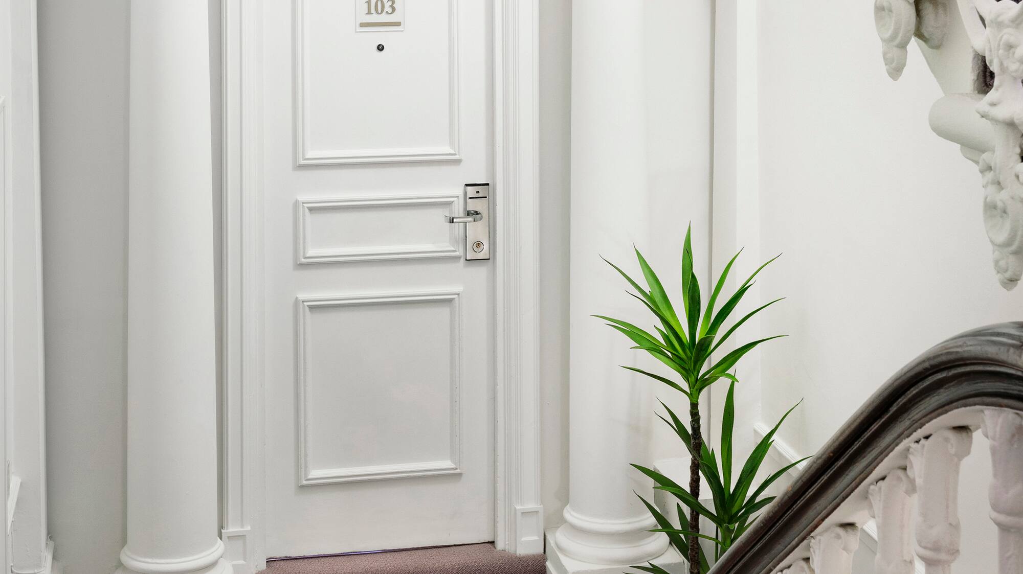 a white door with a carpeted staircase